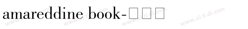 amareddine book字体转换